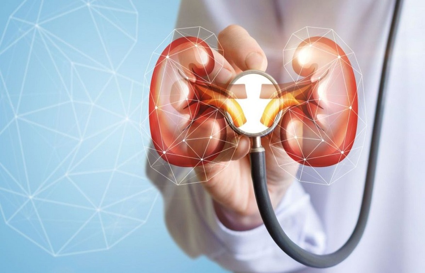 treatments for kidney diseases.